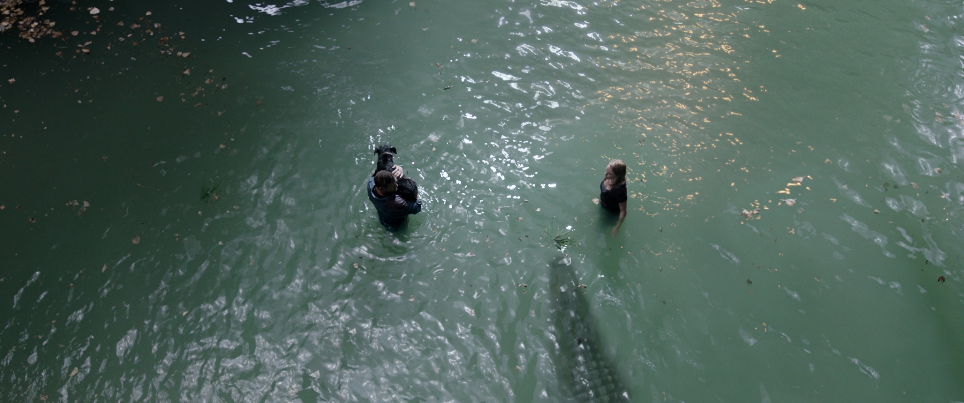 Predadores Assassinos