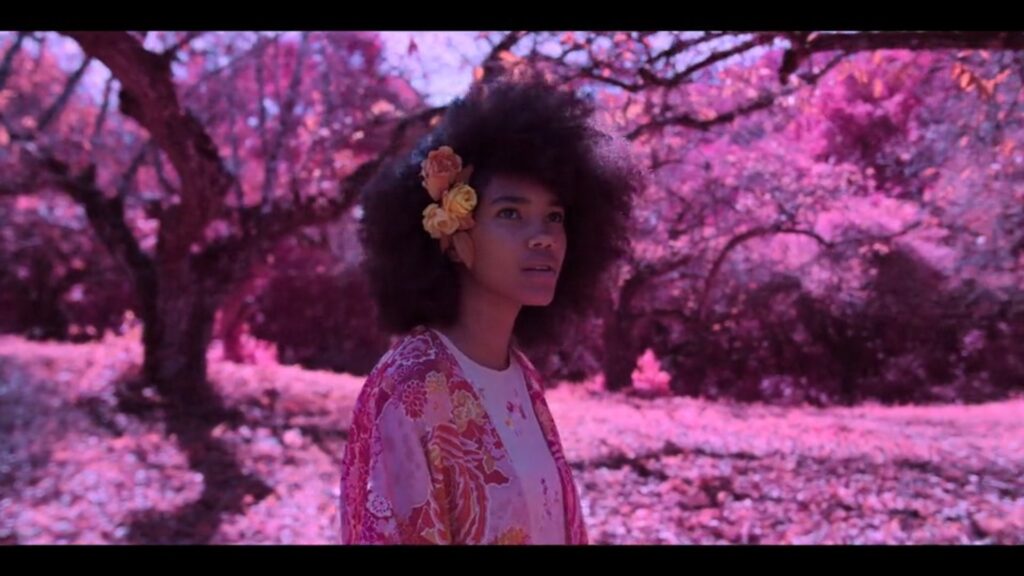 boca a boca - coletivo nerd