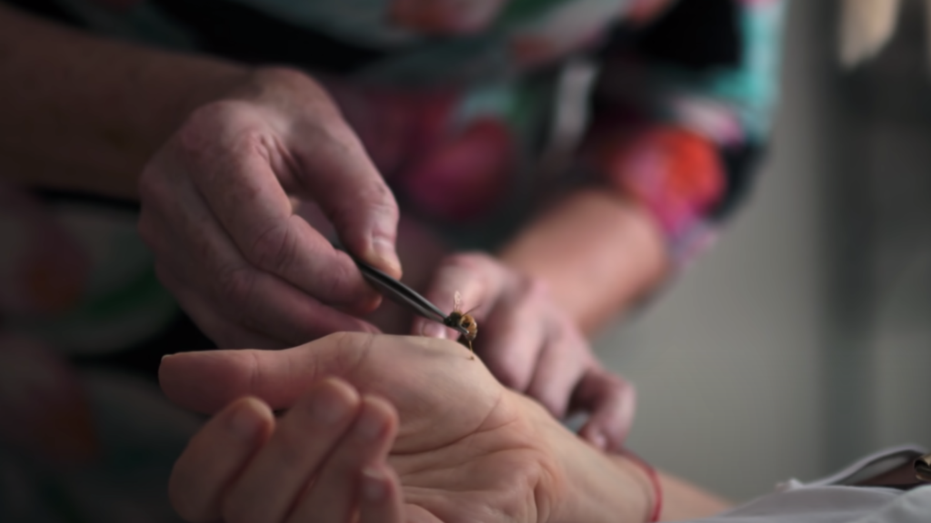 industria da cura - coletivo nerd