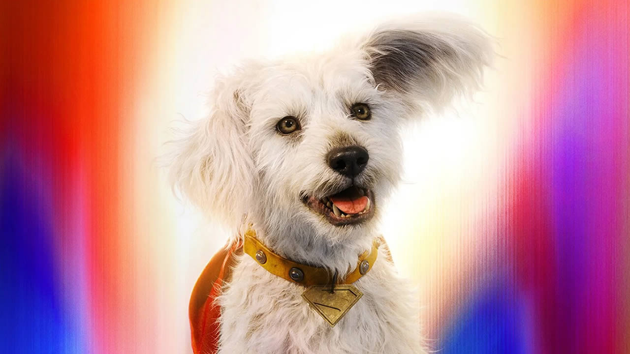 Krypto, o super-cão, aumenta o interesse por adoção em 500%